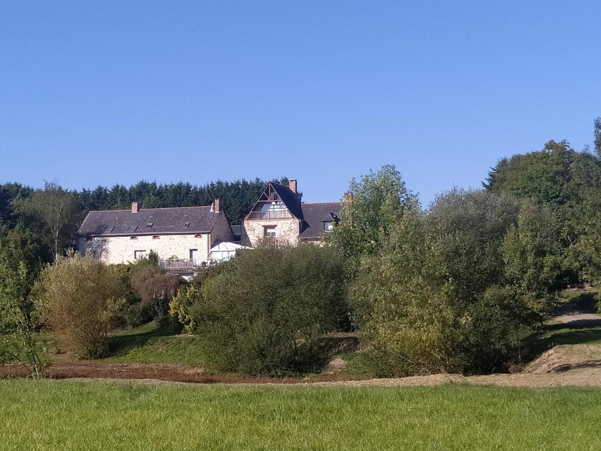 Gite La Pironniere - Piscine, Nature, Au Bord De La Riviere Montreuil-sur-Maine Dış mekan fotoğraf
