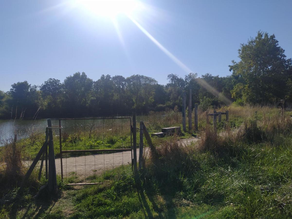 Gite La Pironniere - Piscine, Nature, Au Bord De La Riviere Montreuil-sur-Maine Dış mekan fotoğraf